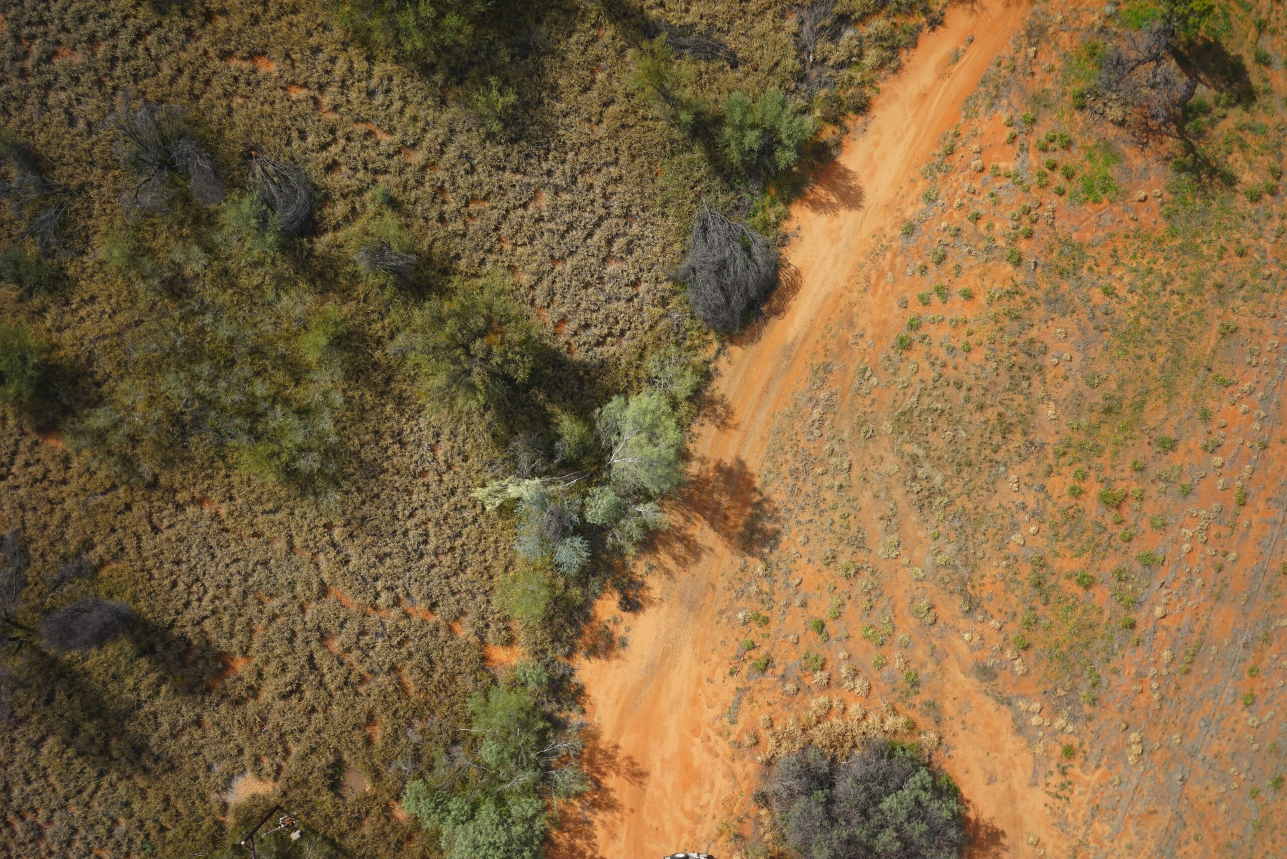 RTK GPS Survey